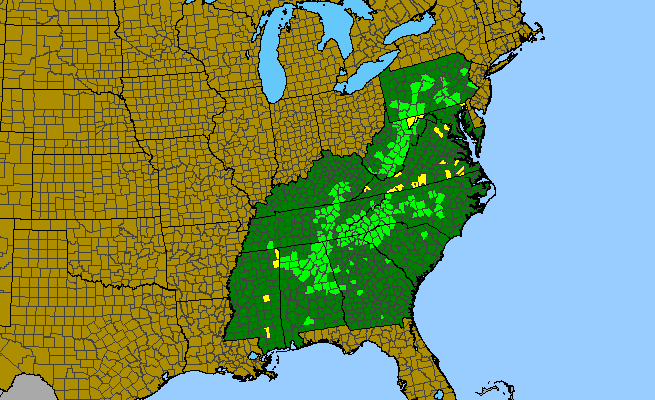 The range of Rhododendron arborescens